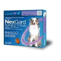 Nexgard Spectra (Antidesparasitario)