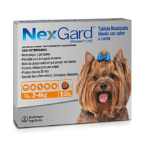 Nexgard Antipulgas