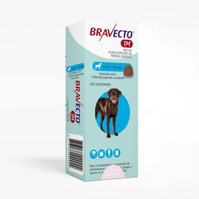 Bravecto 1 Mes