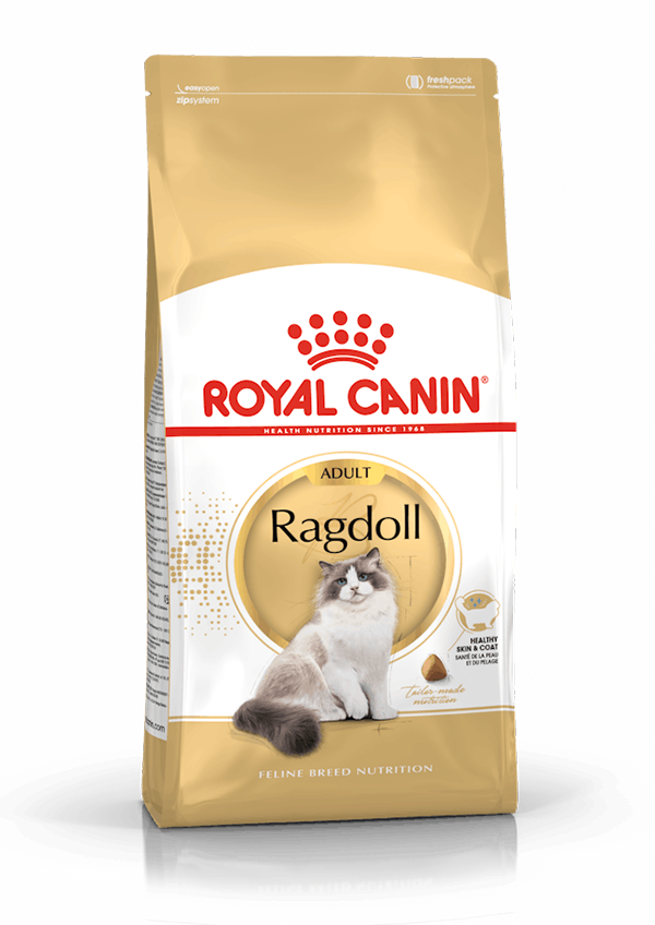 Royal Canin - Ragdoll Gato Adulto