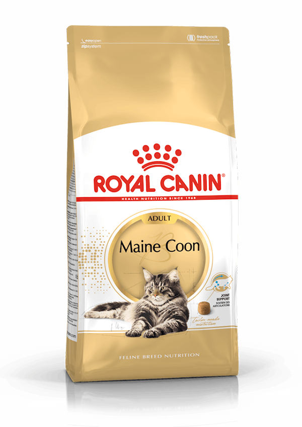 Royal Canin - Maine Coon Gato Adulto