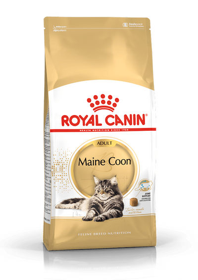 Royal Canin - Maine Coon Gato Adulto