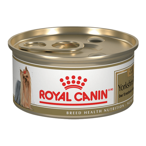 Royal Canin - Comida Húmeda Perros Yorkshire Terrier