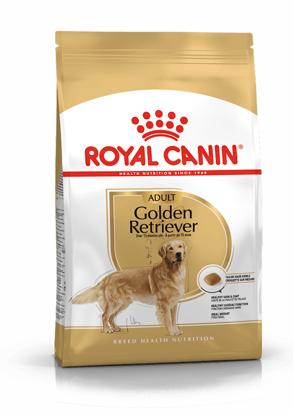 Royal Canin - Golden  Retriever Perro Adulto