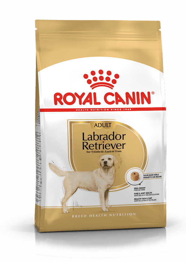 Royal Canin - Labrador Retriever Perro Adulto