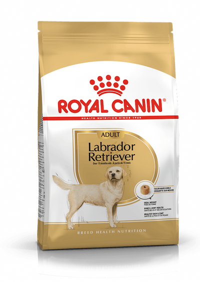 Royal Canin - Labrador Retriever Perro Adulto