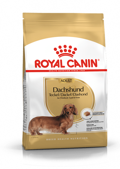 Royal Canin - Dachshund Perro Adulto