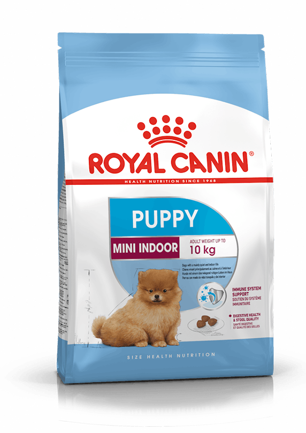 Royal Canin - Mini Indoor Cachorro