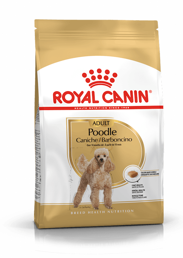 Royal Canin - Poodle Perro Adulto