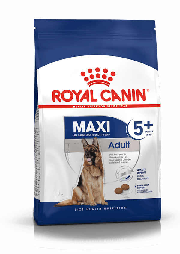 Royal Canin - Perro Maxi Adulto 5+