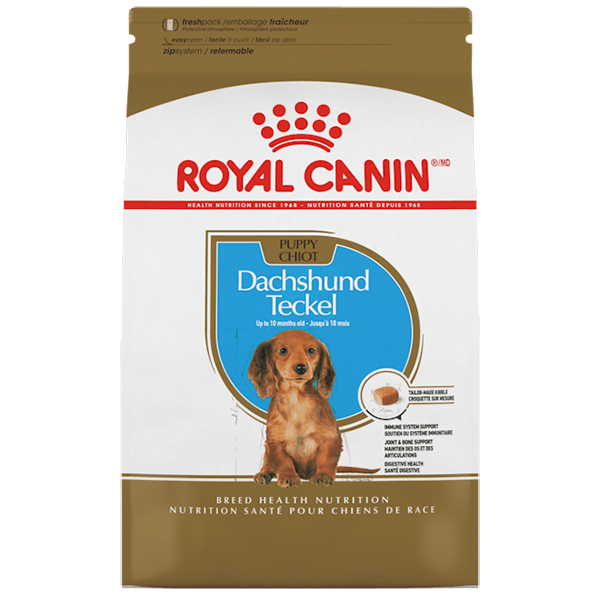 Royal Canin - Dachshund Cachorro