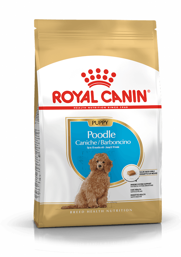 Royal Canin - Poodle Cachorro